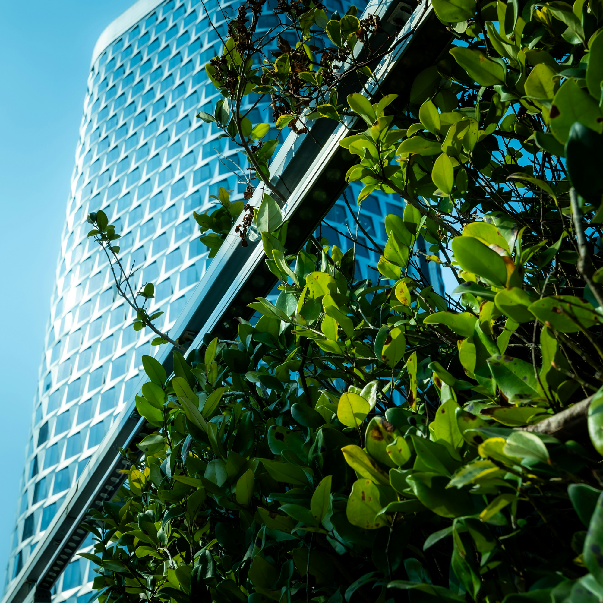 declan-sun-_dv37tIeIBE-unsplash 1