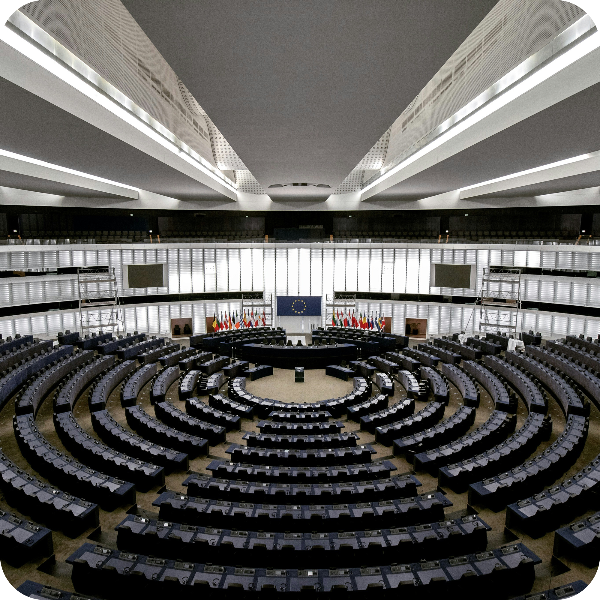 Government - branches