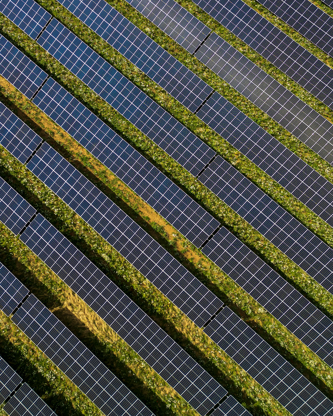 PV panelen