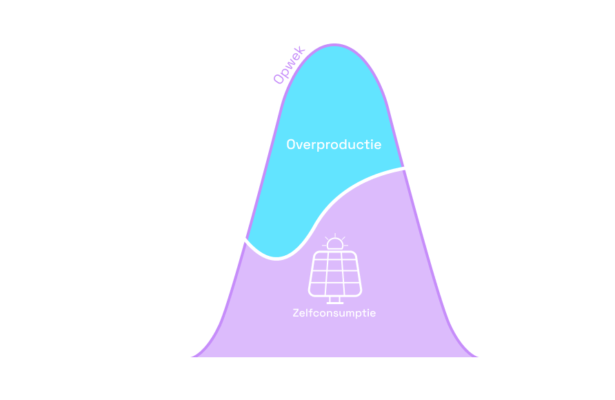 Zelfconsumptie website 2