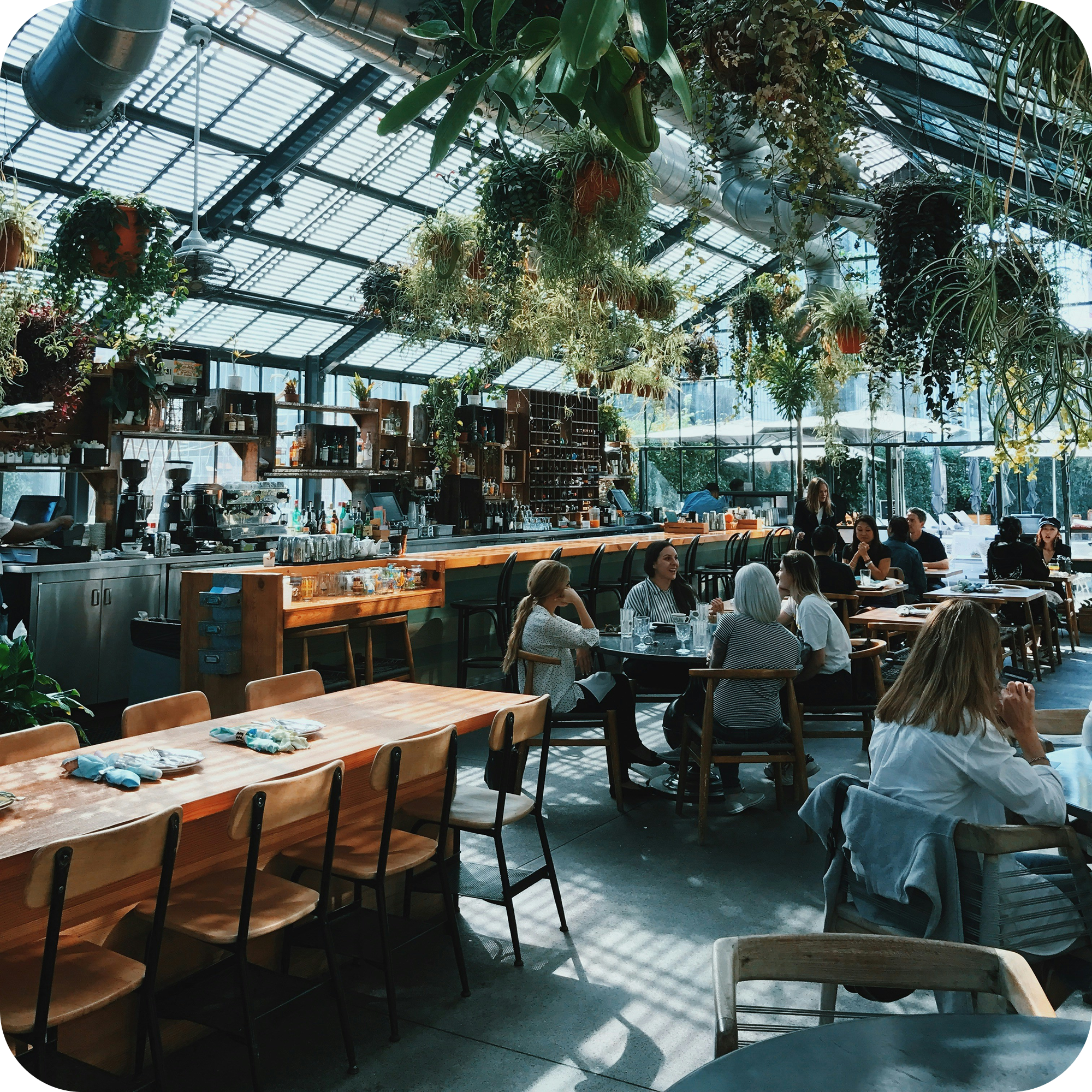 kayleigh-harrington-yhn4okt6ci0-unsplash (1) 1